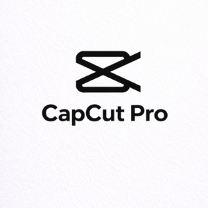 canva pro – all in one graphic design tool